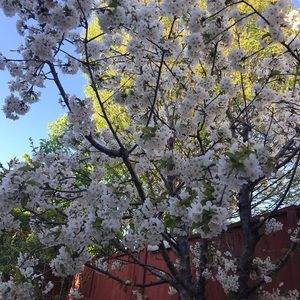 Meet your Posher, Deepti